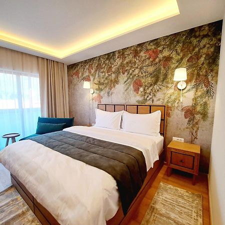 Pensiunea Leonida - Resort Leonida Poiana Tapului Bagian luar foto
